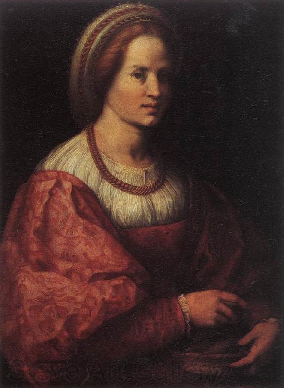 Andrea del Sarto Portrait of a Woman with a Basket of Spindles Germany oil painting art